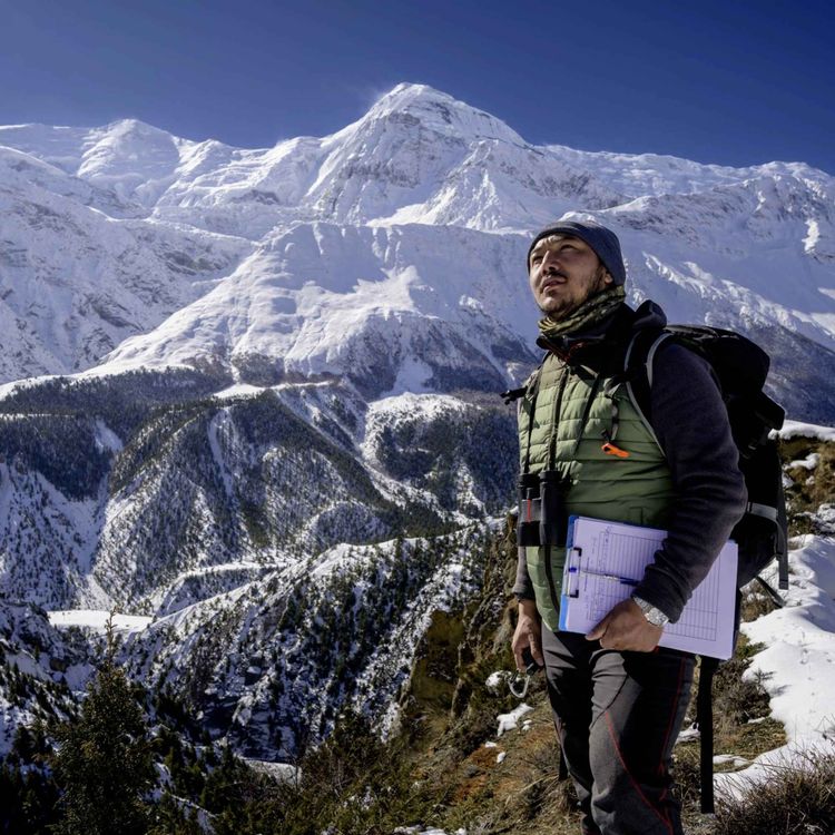 cover art for The Story presents: Planet Hope - protecting snow leopards