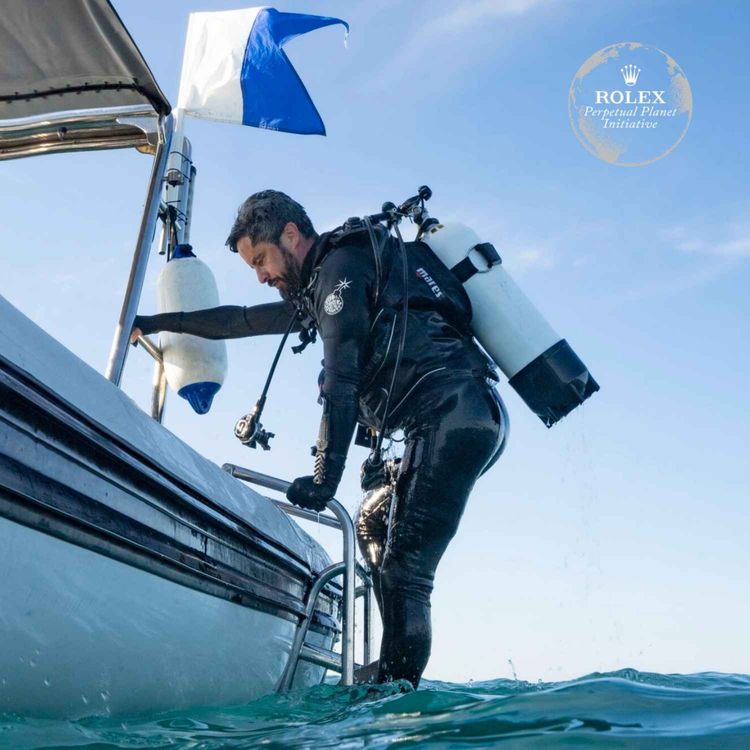 cover art for The Story presents: Planet Hope - Protecting Australia’s Ningaloo Coast