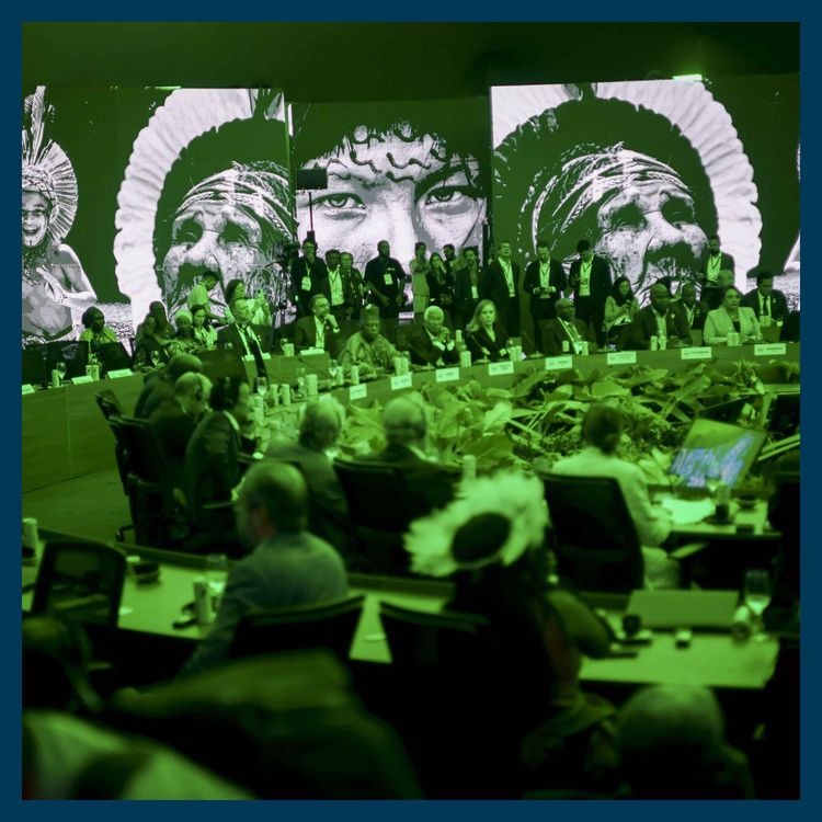 cover art for Cop30 - is climate diplomacy cracking