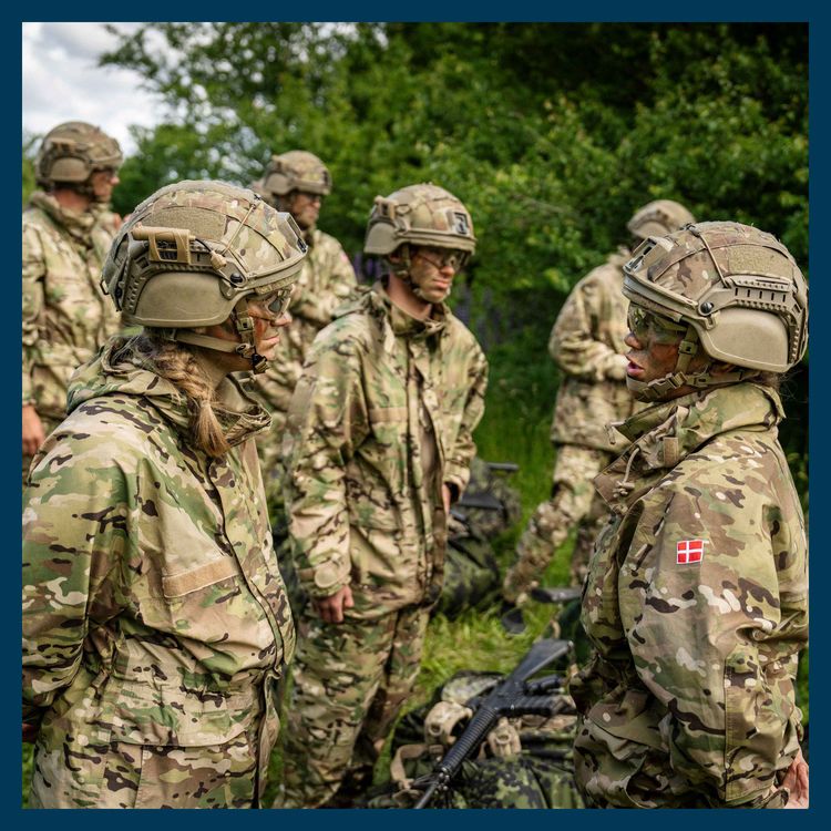 cover art for The teenage girls preparing for war 