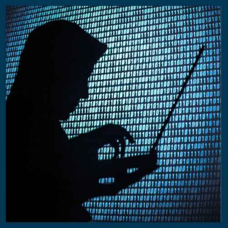 cover art for The hostage negotiators of the digital age - the Sunday Story