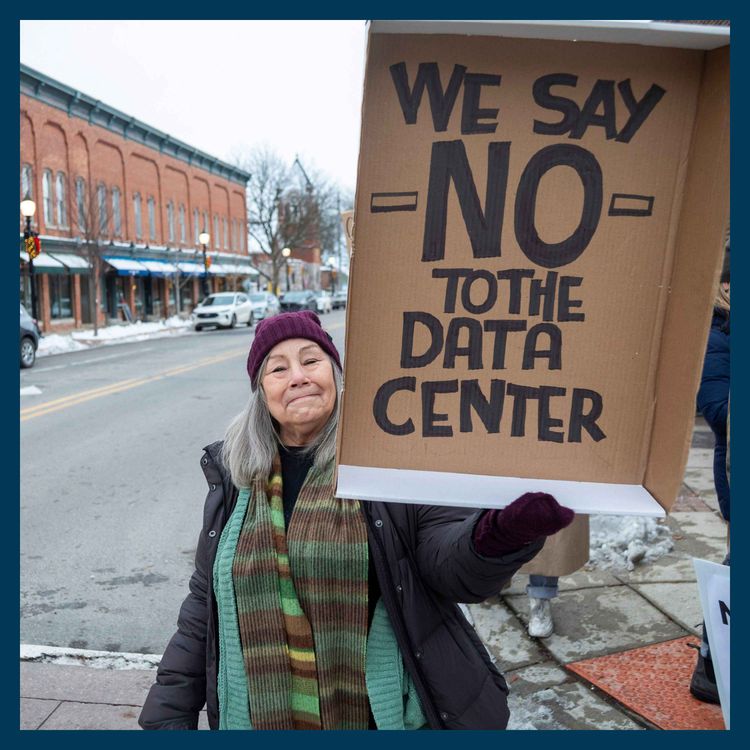 cover art for Is 2026 the year of the AI backlash?