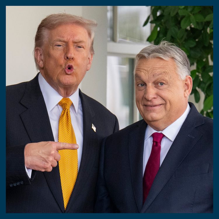 cover art for Did Trump lose Viktor Orban his election?