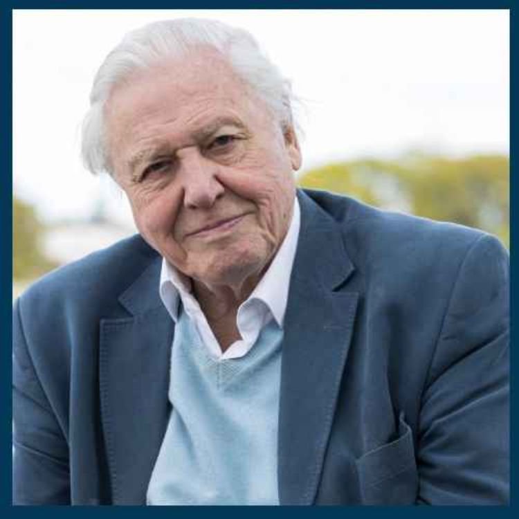 cover art for Attenborough at 100: "Working with him was utterly thrilling" - The Saturday Story 