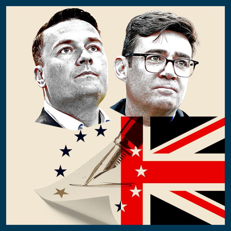 cover art for Labour's Brexit conundrum