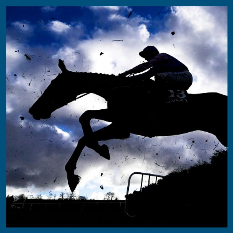 cover art for The big coup: How a small-time horse trainer took on the bookies - The Sunday Story