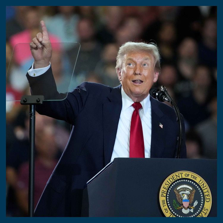cover art for LATEST: Will Trump’s Gaza peace plan really disarm Hamas?