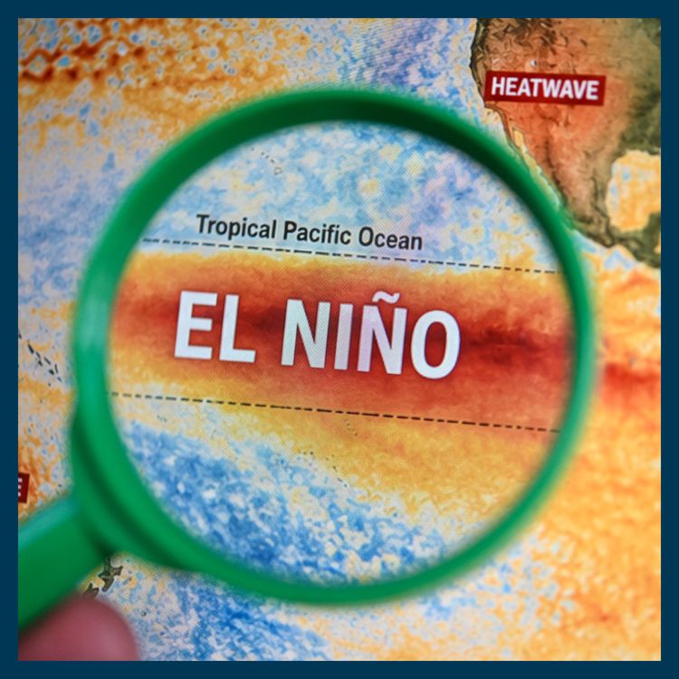 cover art for Why an extreme weather pattern has everyone worried 