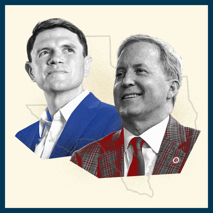 cover art for US midterms: Can the Democrats flip Texas?