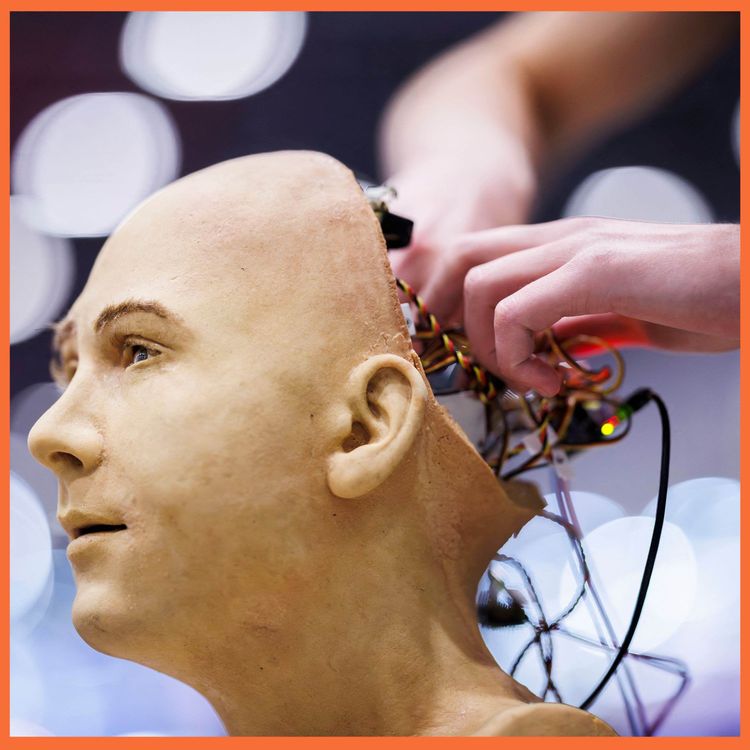 cover art for Why honing ‘human’ skills could AI-proof your career 
