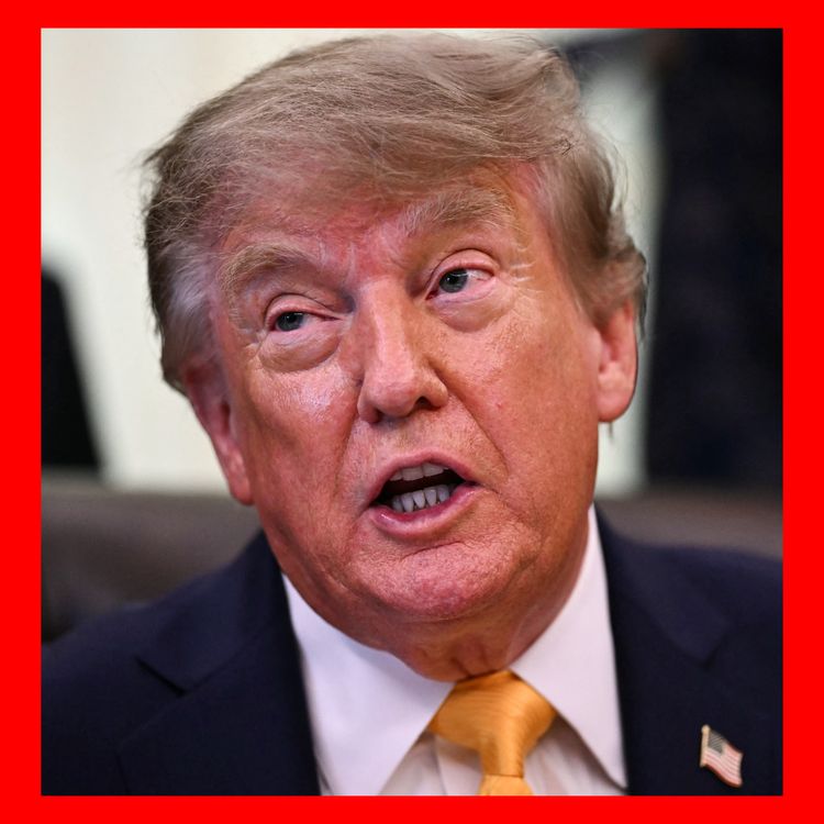 cover art for Burnham Risks Trump's Anger