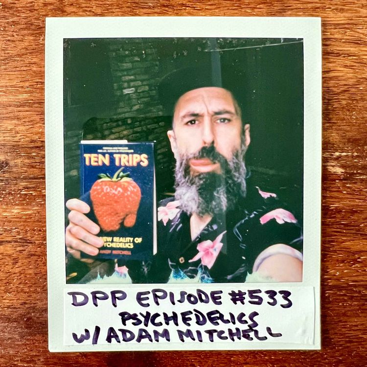 cover art for Psychedelics w/ Andy Mitchell • Distraction Pieces Podcast with Scroobius Pip #533