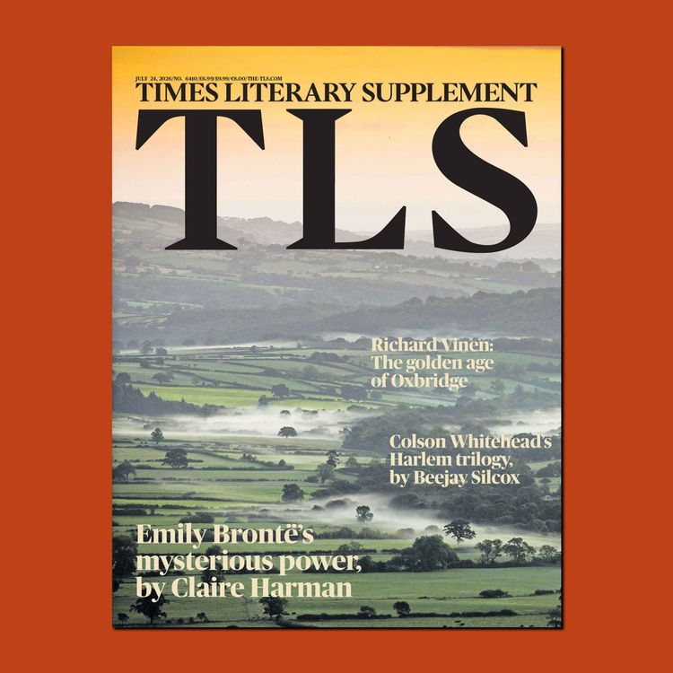 cover art for Earthing Emily