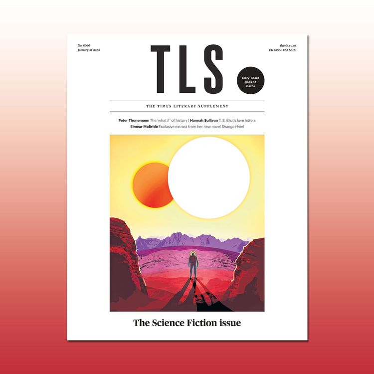 cover art for Carrier bag or stick?