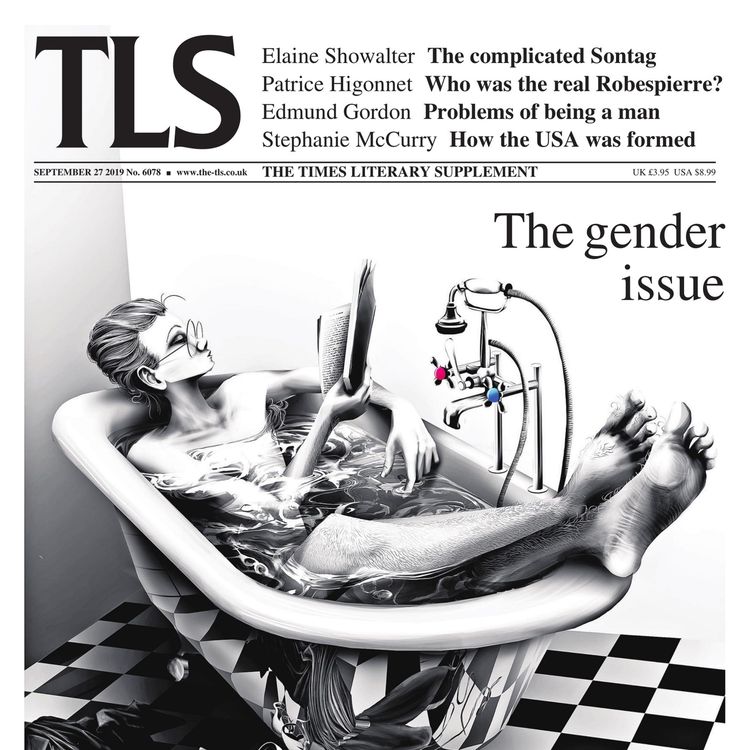 cover art for Unsettled by Sontag