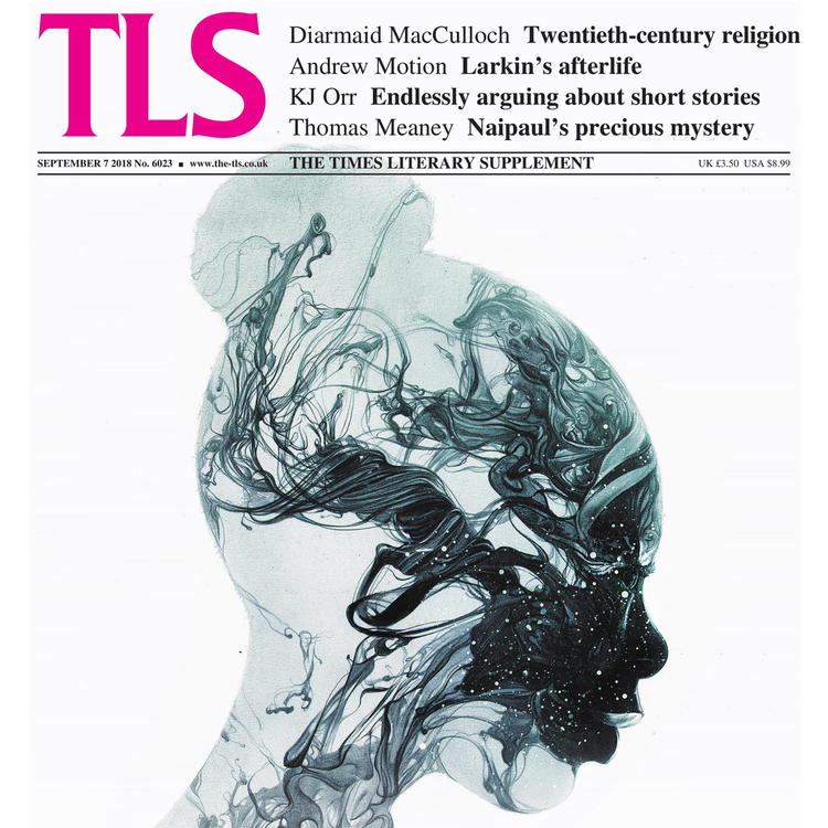 cover art for Philip Larkin, beyond the grave