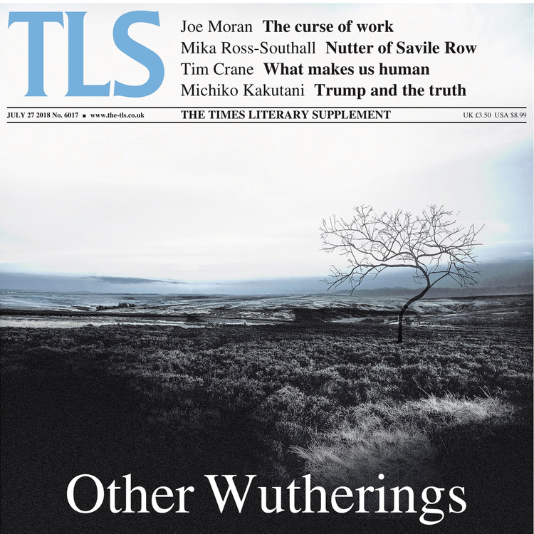 cover art for Emily Brontë's wuthering wilds