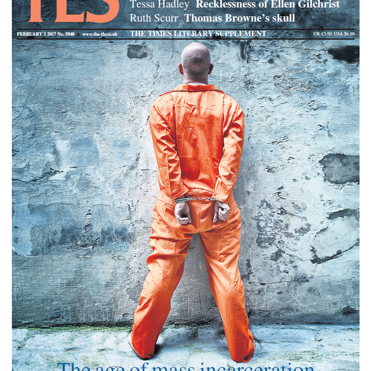 cover art for The age of mass incarceration
