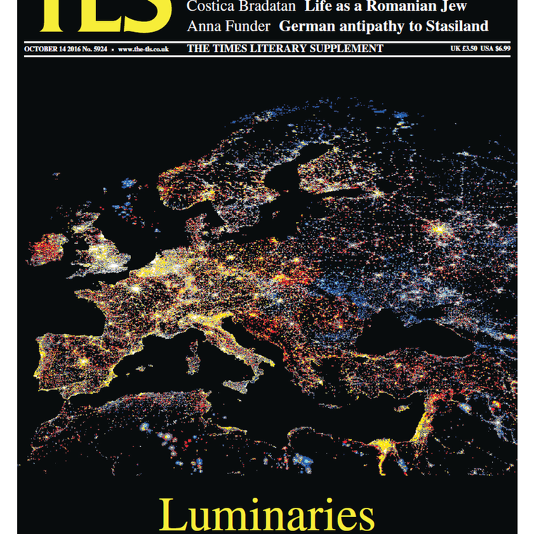 cover art for The mythical Lévi-Strauss