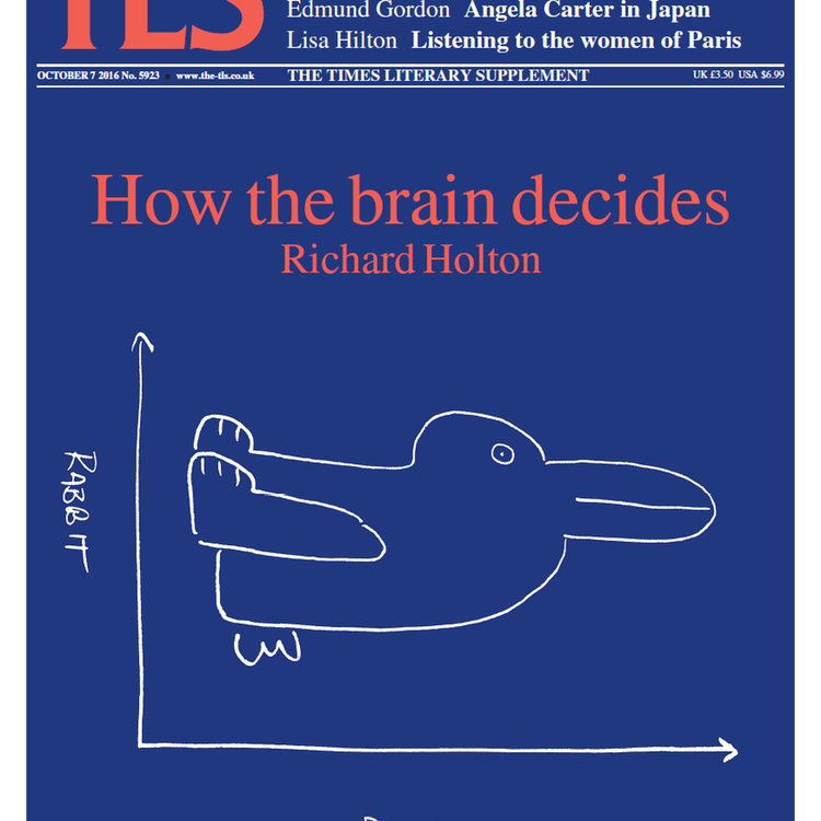 cover art for Duck or Rabbit?