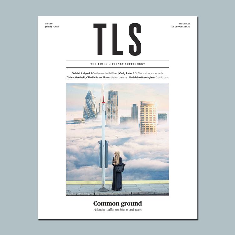 cover art for A Constant State of Foreignness