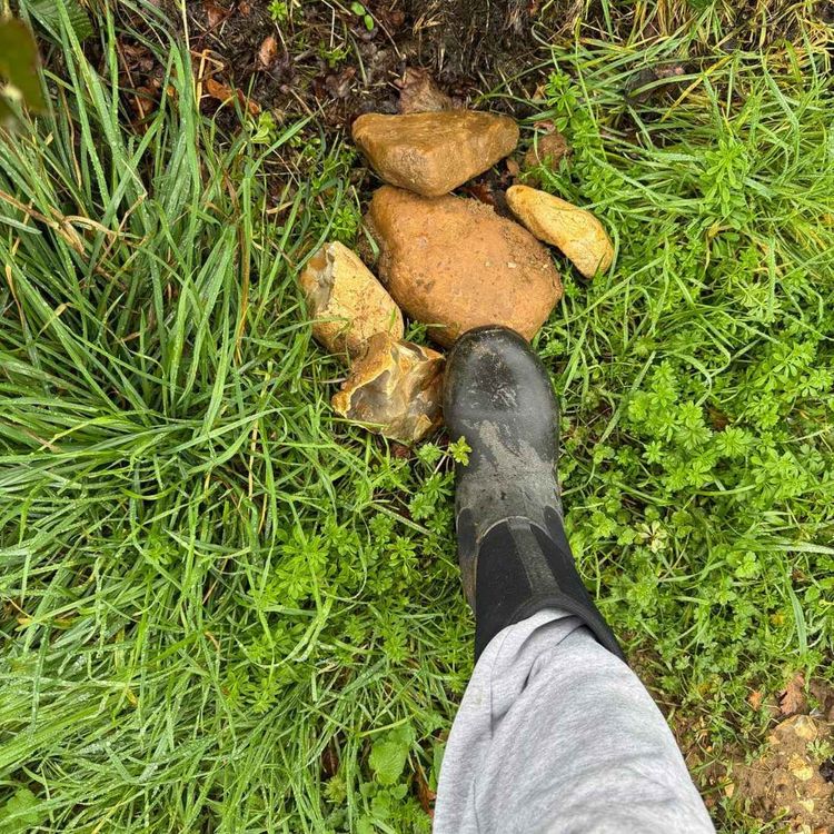 cover art for Stone Clearing Chapter 184