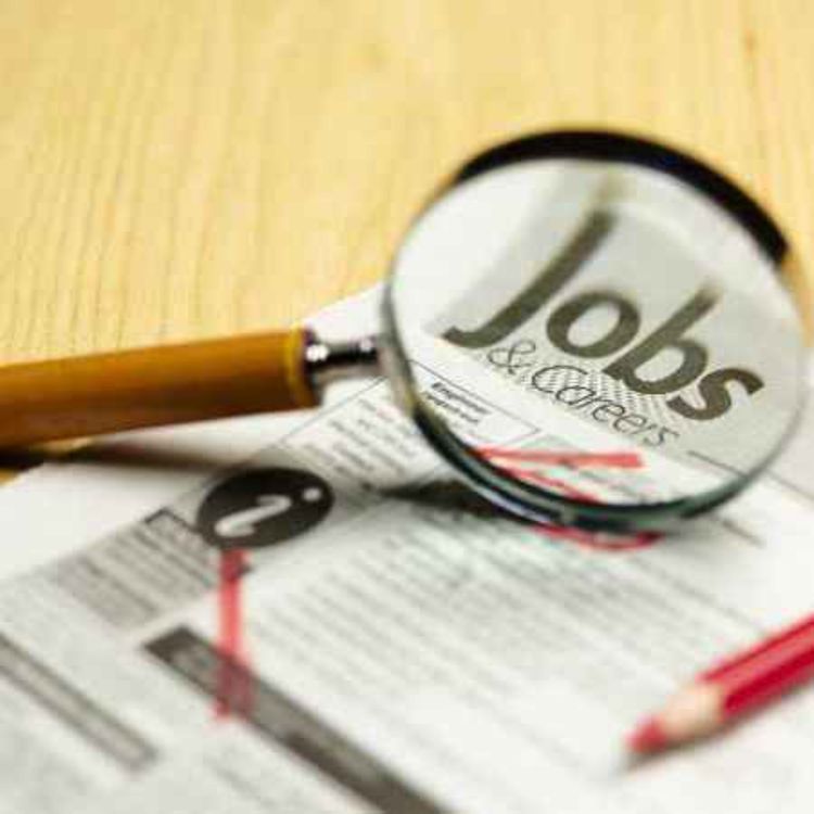 cover art for Fake job adverts online