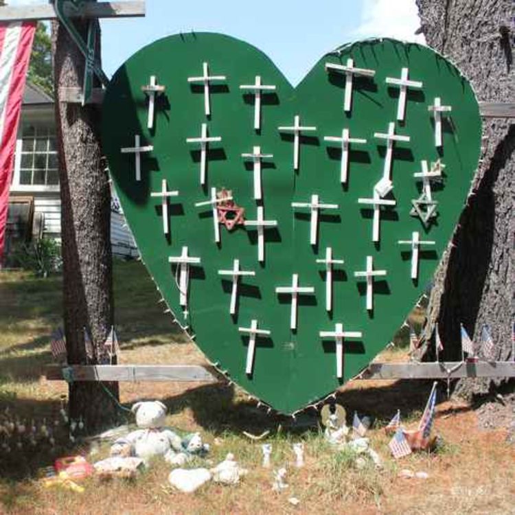 cover art for US man caught up in high school shooting gives talk in Limerick on empathy