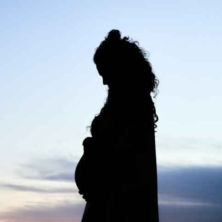 cover art for Surrogacy Laws, calls for a pause