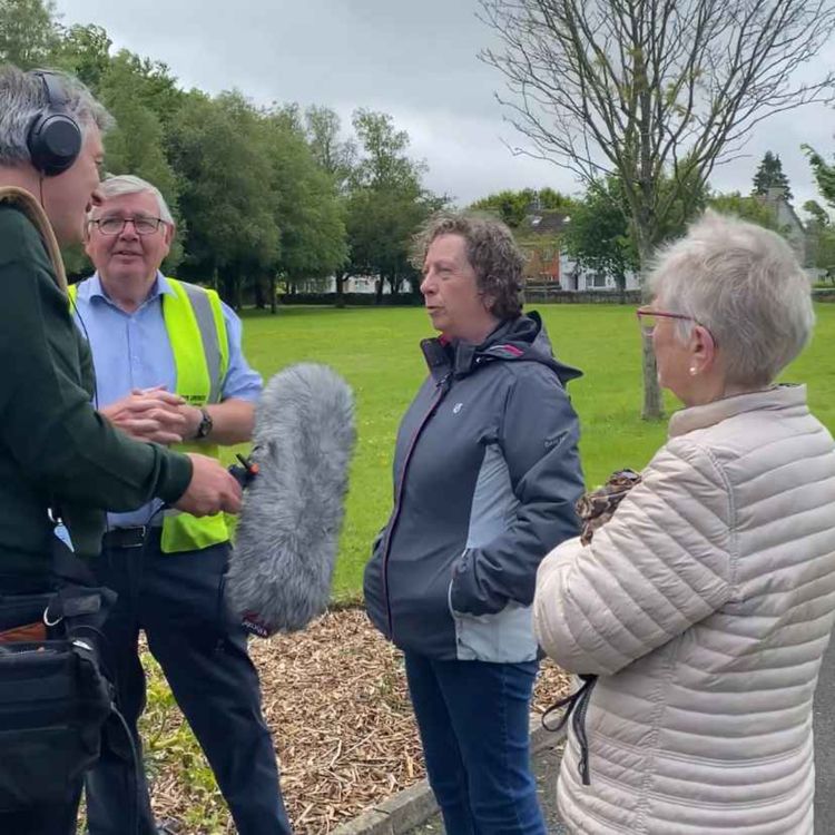cover art for First look at new Limerick series
