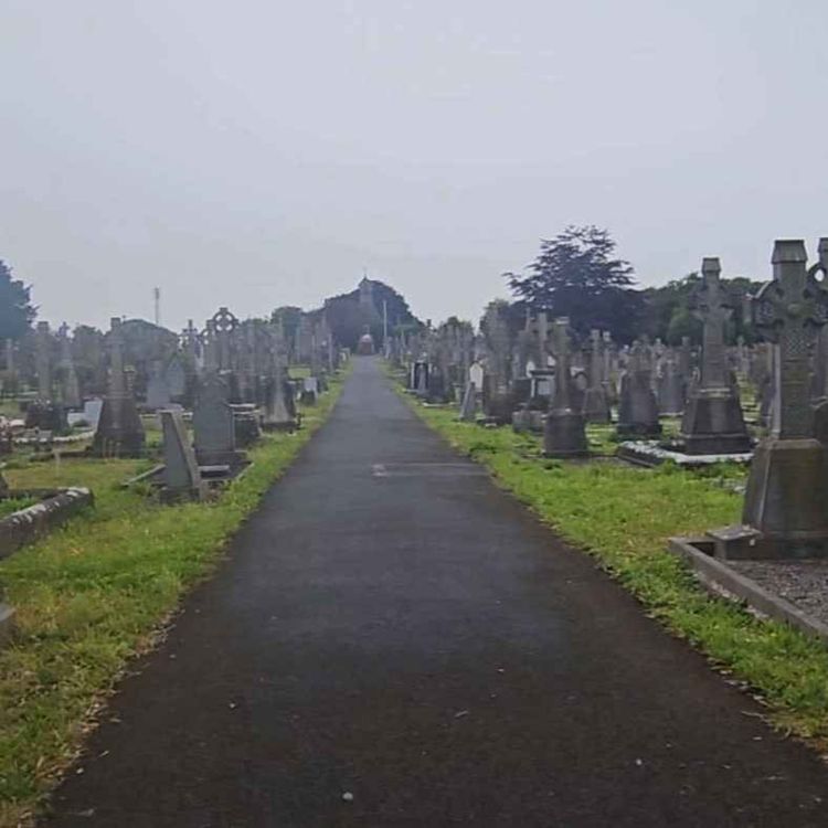 cover art for Calls for revival of Mount St Lawrence Cemetery Limerick