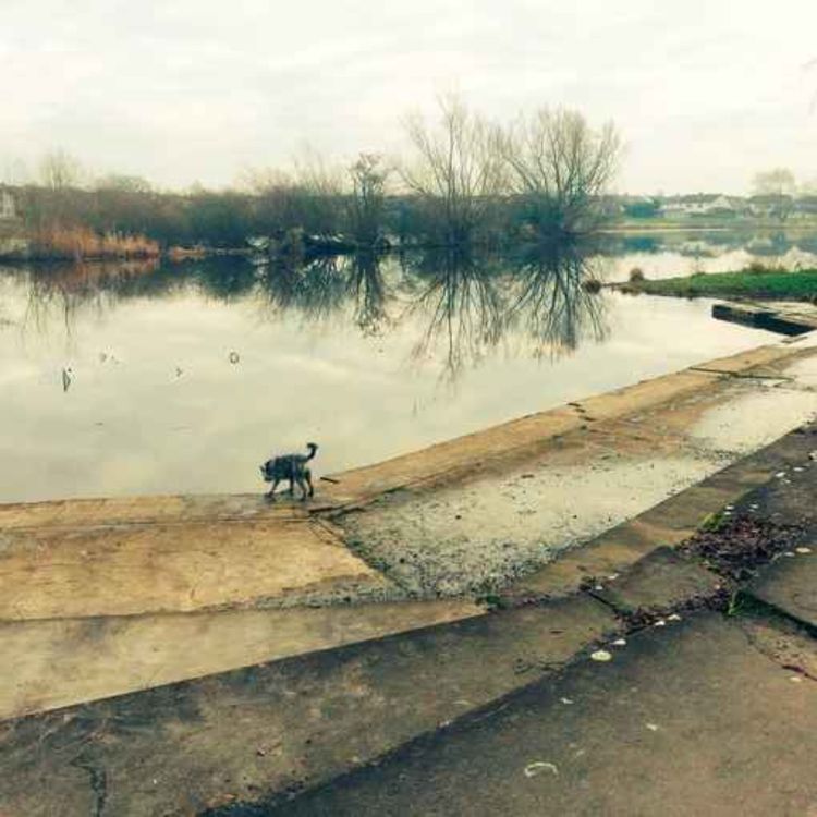 cover art for Should Corbally baths be restored?