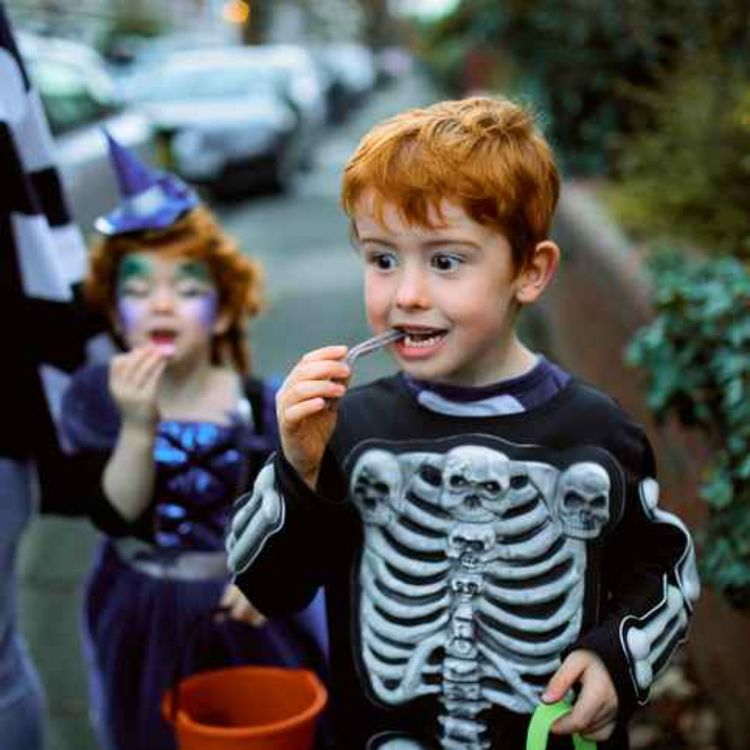 cover art for Halloween in Limerick