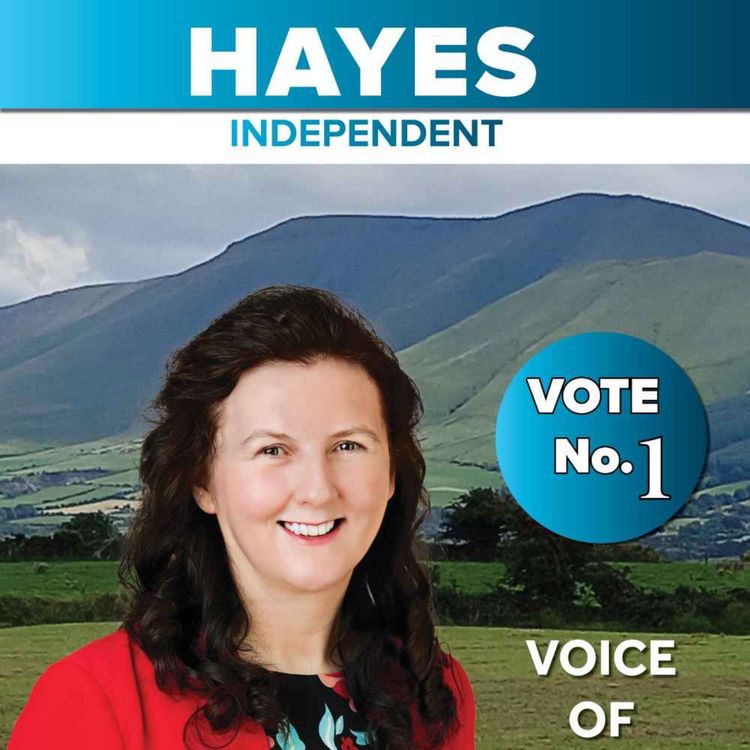 cover art for Michelle Hayes stands for General Election