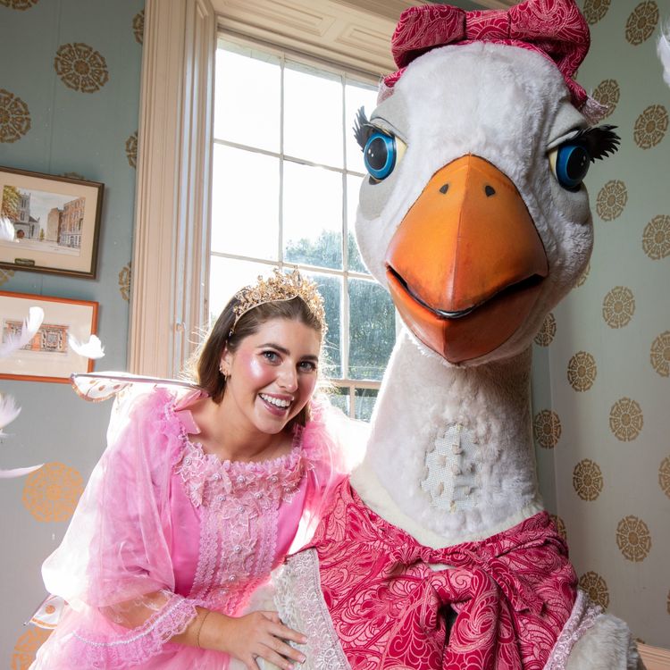 cover art for Faye Shortt joins us ahead of Mother Goose panto