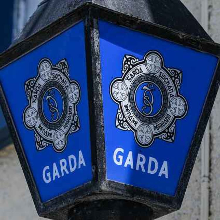 cover art for Community Garda Schemes launches in Limerick