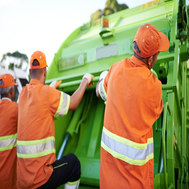 cover art for Bin collection disruptions in Limerick