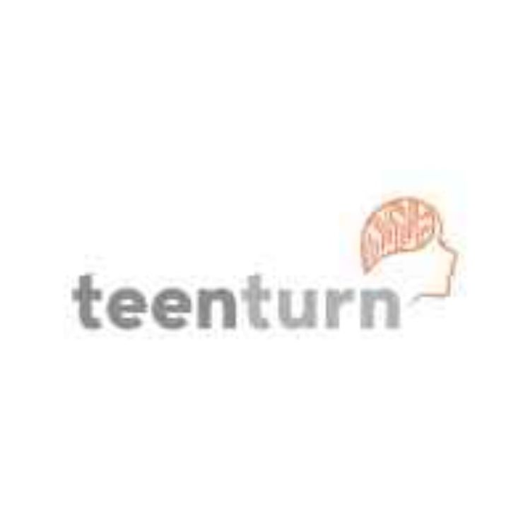 cover art for Teen Turn Work Placement Updates