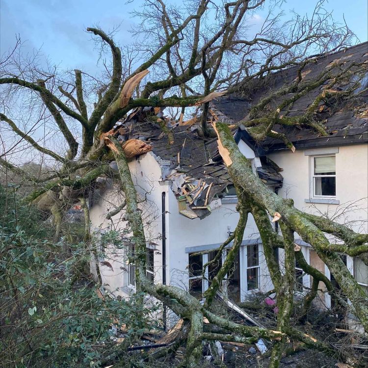 cover art for Limerick emergency hub and what's available post storm Eowyn