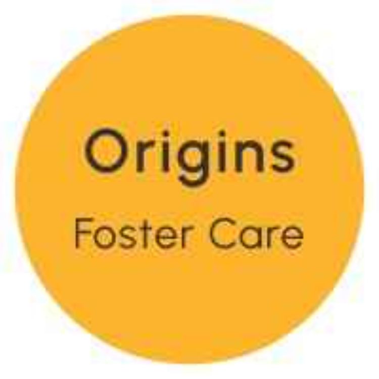 cover art for Foster carers urgently required in Limerick