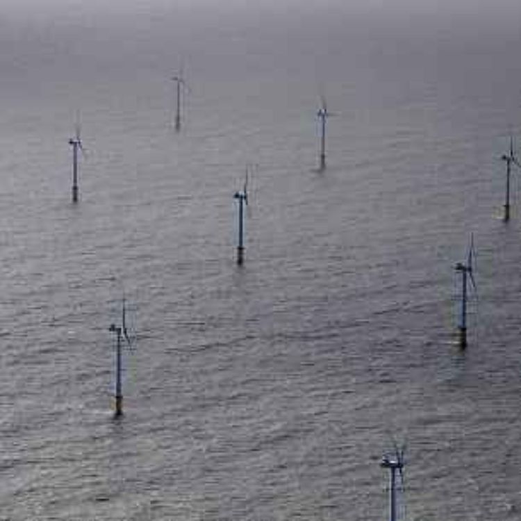 cover art for Eco Insights episode 9 - More on Offshore Wind Energy