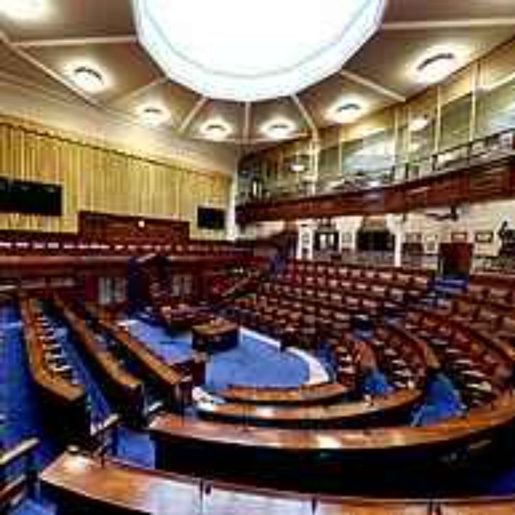 cover art for Our panel react to Dail fiasco on speaking rights