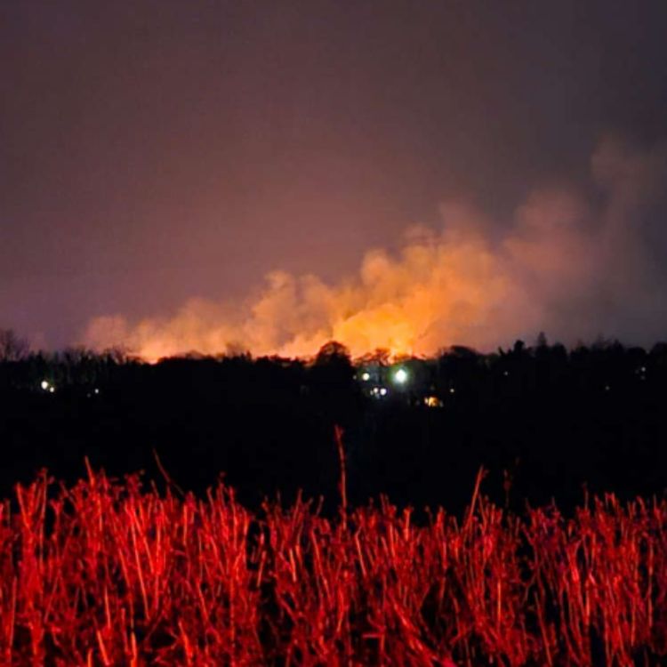 cover art for Gorse fire overnight in Limerick
