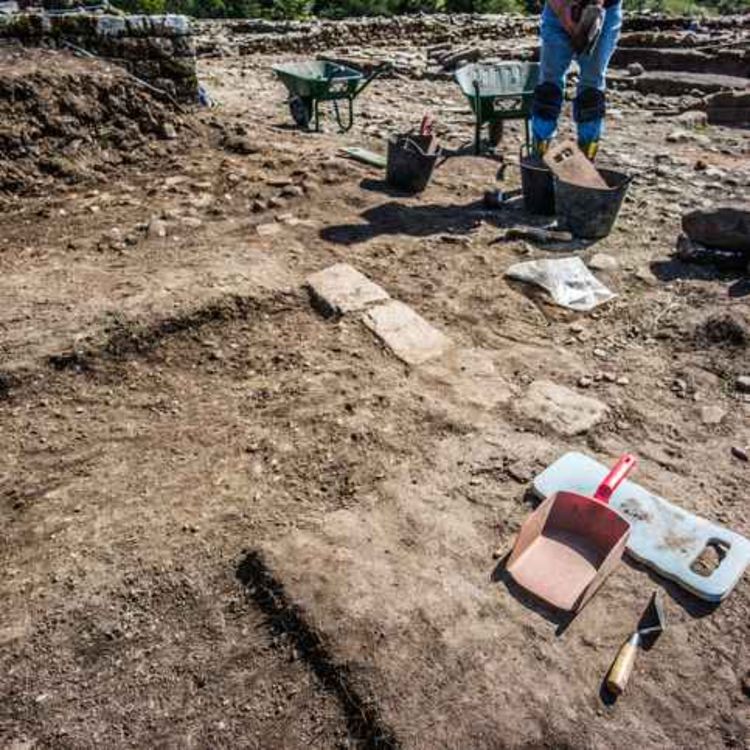 cover art for Medieval pin unearthed during Adare bypass works