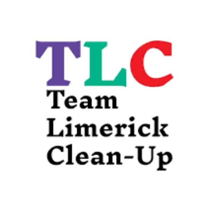 cover art for Team Limerick clean up volunteers out and about for TLC 10