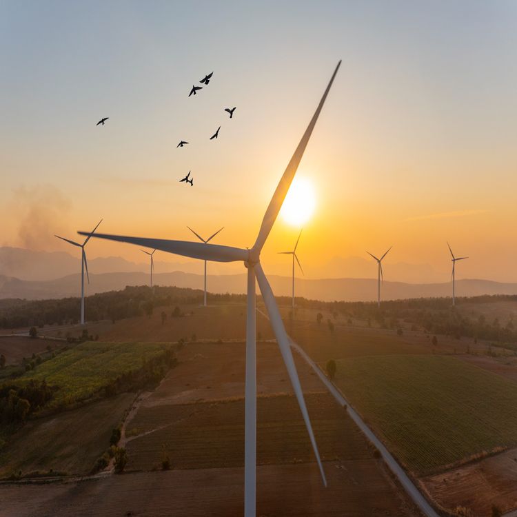 cover art for Climate Action week in Limerick