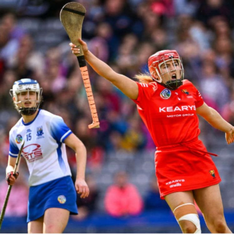 cover art for Limerick's take on Skortgate
