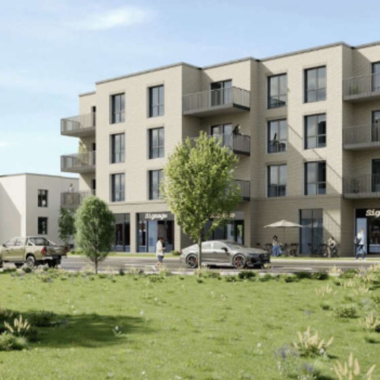 cover art for Councillor describes naming of Limerick development project as 'ridiculous'