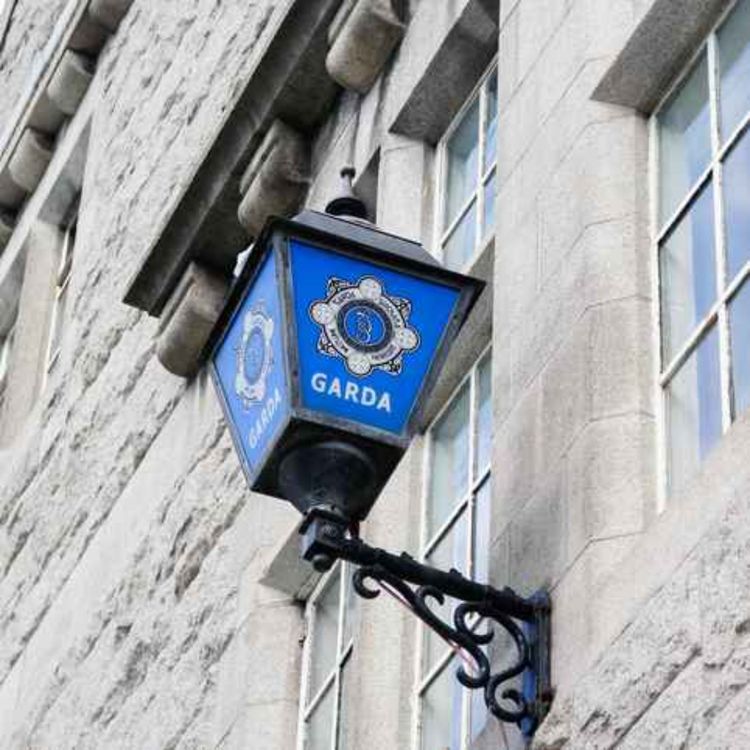 cover art for Calls for a garda station for Castletroy