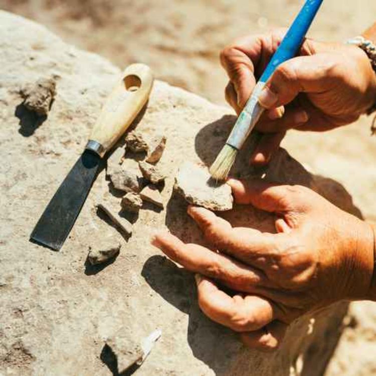 cover art for Archaeological finds at King's Island Limerick